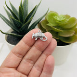 Antique Silver Armadillo Charms, 13x19mm