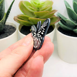 Black and White Moth with Bones, 32x50mm