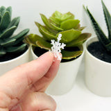 Clear Christmas Snowflake Charm, 22x26mm