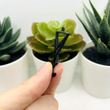 Black Lucifer Sigil Satan Pendants