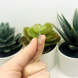 Stainless Steel Moth Charms, 21x27mm