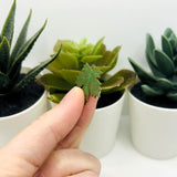 Green Maple Leaf Charms, 30x26mm