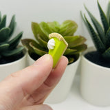 3D Key Lime Pie Charms, 25x19mm