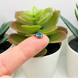 201 Stainless Steel, Blue Sapphire September Birthstone Rhinestone Charms, 8x6mm