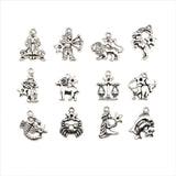 Antique Silver Zodiac/Astrology Character Astrology Sign Charms