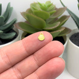 Gold 304 Stainless Steel Tiny Sea Shell Charms, 8x6mm