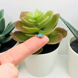 201 Stainless Steel, Light Blue Aquamarine March Birthstone Rhinestone Charms, 8x6mm