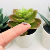 201 Stainless Steel, Light Pink June Alexandrite Birthstone Rhinestone Charms, 8x6mm