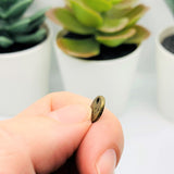 Small Bronze Irish Luck Charms, 9x9mm