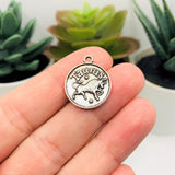 Silver Taurus Zodiac/Astrology Coin Charms, 17x20mm