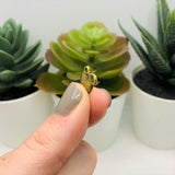 Bronze Apple Teacher Charms, 10x10mm