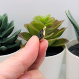 Black Enamel and Gold Zodiac/Astrology Charms, 15x12mm