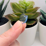 Transparent Blue Acrylic Leaf Charms, 15x15mm