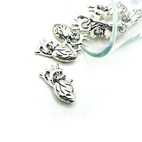 Silver Anatomical Human Heart 3D Charms, 27x13mm