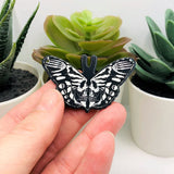 Black and White Moth with Bones, 32x50mm