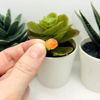 Orange Flower Bud Charms, 14x9mm