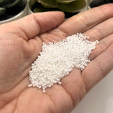MIYUKI Delica Beads, DB0201 - White Pearl Ceylon, 11/0, 10g