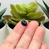 Tiny Black Top Hat Charms and Bead Caps, 7x10mm