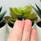 Tiny Black Top Hat Charms and Bead Caps, 7x10mm
