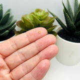 3mm, 24g, Gold Plated Open Jump Rings