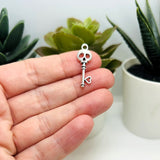 Skull Skeleton Key Charms, 9x26mm
