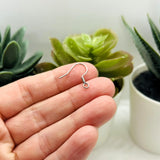 304 Stainless Steel French Earring Wires, 17mm