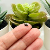 Gunmetal Gray Butterfly Earring Back Stoppers, 5x3.5mm
