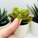 Green Apple Fruit Charms, 15x13mm