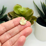 Pink Peach Fruit Charms, 15x14mm