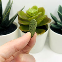 1, 4, or 20 Pieces: Green Monstera Leaf Charms