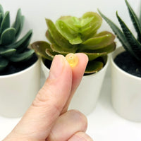 8.5mm Yellow and Clear Crackle Glass Beads