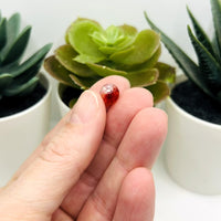 8.5m Red and Clear Crackle Glass Beads