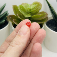 6mm Red Frosted Glass Beads