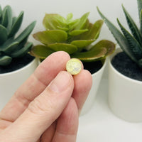 10mm Yellow and Clear Crackle Glass Beads