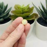 10mm Yellow and Clear Crackle Glass Beads