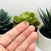 Rose Gold Earring Back Stoppers, 6x4mm
