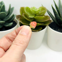 Pink Flower Bud Charms, 14x9mm