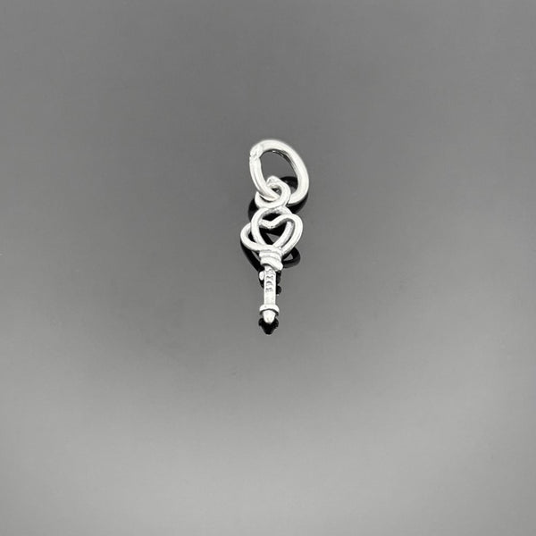 A 14×5 mm sterling silver key charm with an aged, oxidized finish, showcasing detailed grooves and a small top loop, displayed on a black background.