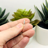 Sterling Silver Lobster Clasps, 7x12mm
