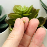 Gold Iron Earring Backs, 6x5mm