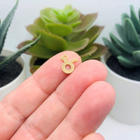 12 or 60 Pieces: Gold 304 Stainless Steel Zodiac Sign Charms