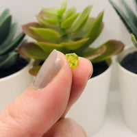 4, 20 or 50 Pieces: 6 mm Bicone Light Green Imitation Crystal August Birthstone Beads