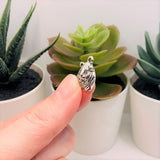 4, 20 or 50 Pieces: Silver Guinea Pig Charms